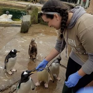 Meet your Posher, Marisa